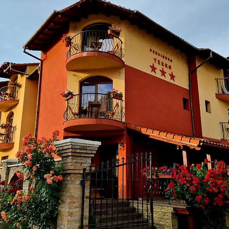 Pension Terra Alba Iulia Extérieur photo
